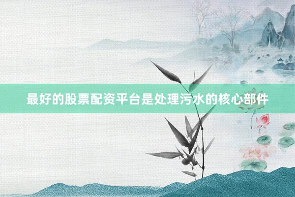 最好的股票配资平台是处理污水的核心部件