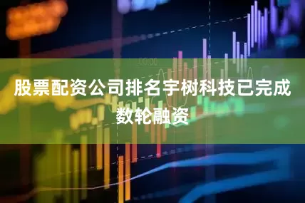 股票配资公司排名宇树科技已完成数轮融资