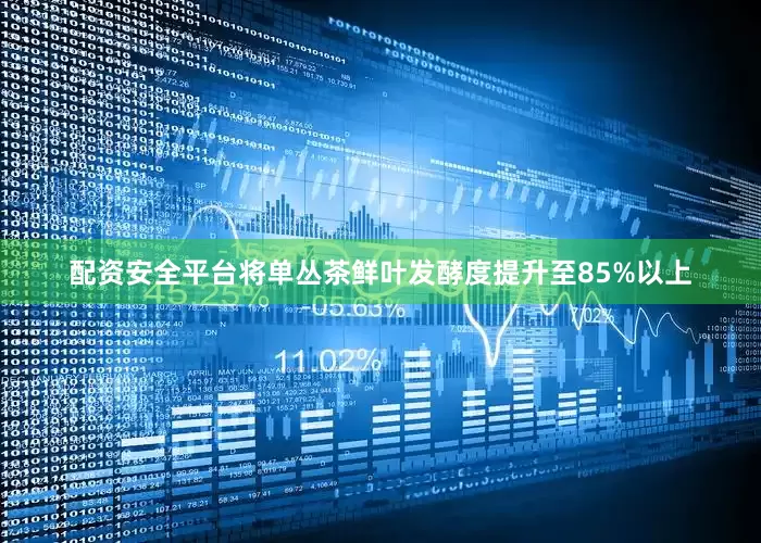 配资安全平台将单丛茶鲜叶发酵度提升至85%以上
