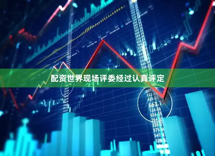 配资世界现场评委经过认真评定
