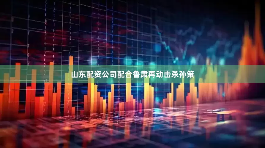 山东配资公司配合鲁肃再动击杀孙策