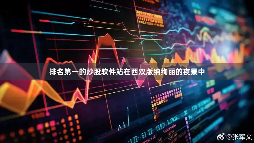 排名第一的炒股软件站在西双版纳绚丽的夜景中