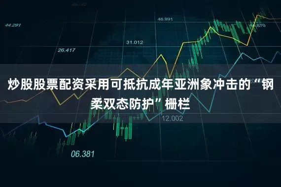炒股股票配资采用可抵抗成年亚洲象冲击的“钢柔双态防护”栅栏