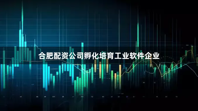 合肥配资公司孵化培育工业软件企业